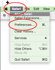 Safari Settings 1