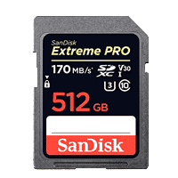 512gb SD Card