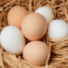 side-view-basket-eggs-nest-wooden-background